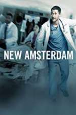 Watch New Amsterdam Xmovies8