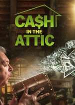 Watch Cash in the Attic Xmovies8