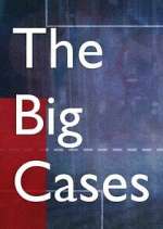 Watch The Big Cases Xmovies8
