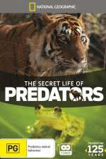 Watch Secret Life of Predators Xmovies8