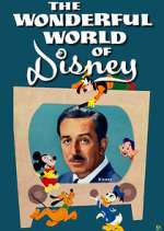 Watch The Wonderful World of Disney Xmovies8