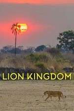 Watch Lion Kingdom Xmovies8