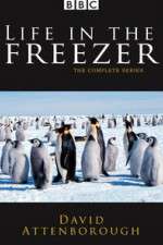 Watch Life in the Freezer Xmovies8