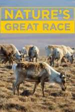 Watch Nature's Great Race Xmovies8