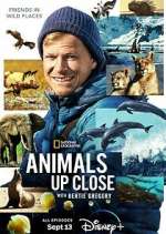 Watch Animals Up Close with Bertie Gregory Xmovies8