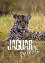 Watch Jaguar Journals Xmovies8