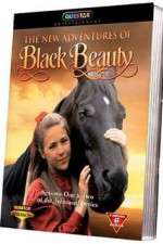 Watch The New Adventures of Black Beauty Xmovies8