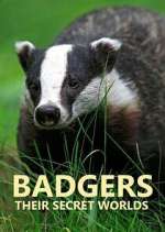 Watch Badgers: Their Secret Worlds Xmovies8