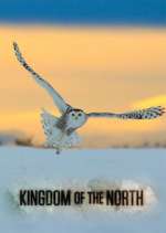 Watch Kingdom of the North Xmovies8