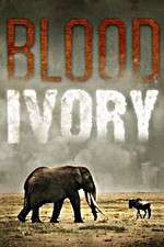 Watch Blood Ivory Xmovies8