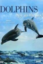 Watch Dolphins: Spy in the Pod Xmovies8