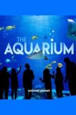 Watch The Aquarium Xmovies8