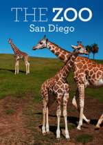 Watch The Zoo: San Diego Xmovies8