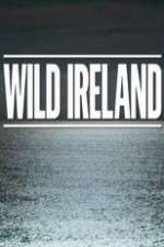 Watch Wild Ireland Xmovies8