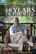 Watch Attenborough 60 Years in the Wild Xmovies8