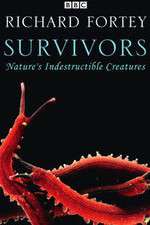 Watch Survivors: Nature's Indestructible Creatures Xmovies8
