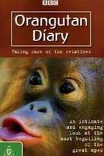 Watch Orangutan Diary Xmovies8