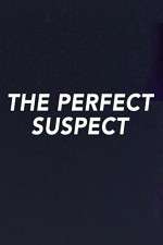 Watch The Perfect Suspect Xmovies8