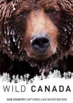 Watch Wild Canada Xmovies8