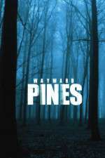 Watch Wayward Pines Xmovies8