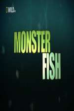 Watch National Geographic Monster Fish Xmovies8