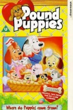 Watch Pound Puppies Xmovies8