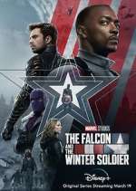 Watch The Falcon and The Winter Soldier Xmovies8