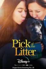Watch Pick of the Litter Xmovies8