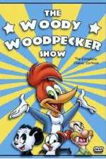 Watch The Woody Woodpecker Show Xmovies8