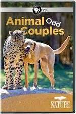 Watch Animal Odd Couples Xmovies8