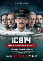 Watch IC 814: The Kandahar Hijack Xmovies8