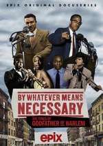 Watch By Whatever Means Necessary: The Times of Godfather of Harlem Xmovies8