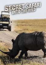 Watch Secret Safari: Into the Wild Xmovies8