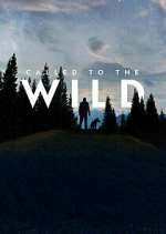 Watch Called to the Wild Xmovies8