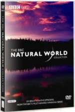 Watch The Natural World Xmovies8