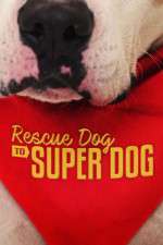 Watch Rescue Dog to Super Dog (US) Xmovies8