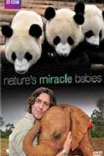 Watch Natures Miracle Babies Xmovies8