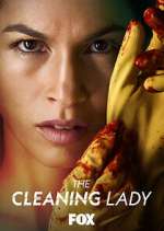 Watch The Cleaning Lady Xmovies8