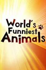 Watch The World\'s Funniest Animals Xmovies8