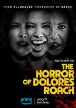 Watch The Horror of Dolores Roach Xmovies8