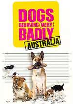 Watch Dogs Behaving (Very) Badly Australia Xmovies8
