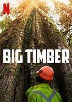 Watch Big Timber Xmovies8