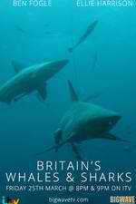 Watch Britain's Whales and Sharks Xmovies8