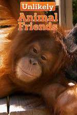 Watch Unlikely Animal Friends Xmovies8