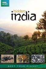 Watch Hidden India Xmovies8