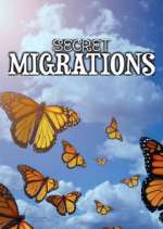 Watch Secret Migrations Xmovies8