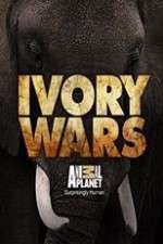 Watch Ivory Wars Xmovies8