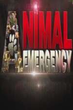 Watch Animal Emergency Xmovies8