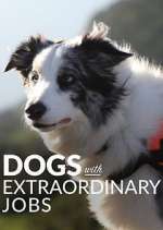 Watch Dogs with Extraordinary Jobs Xmovies8