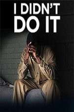 Watch I Didn't Do It (2012) Xmovies8